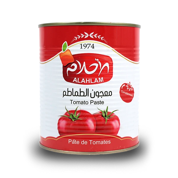 12-معجون طماطم 800غ تنك